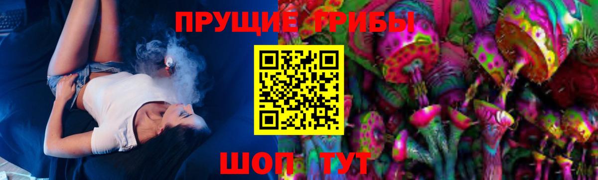 Псилоцибиновые грибы Cubensis  Вход с VPN  Котлас  Галлюциногенные грибы Magic Shrooms 